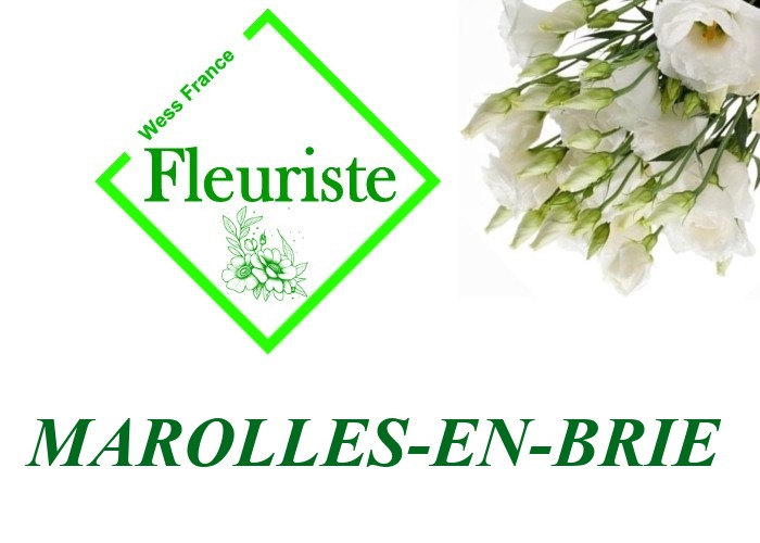 Fleuriste Marolles-en-Brie Fleuriste Marolles-en-Brie - livraison de fleurs Marolles-en-Brie