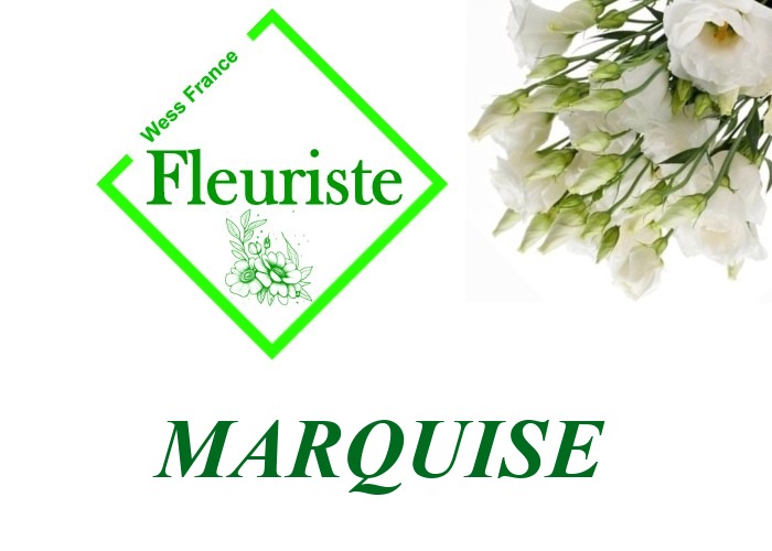 Fleuriste Marquise Fleuriste Marquise - livraison de fleurs Marquise