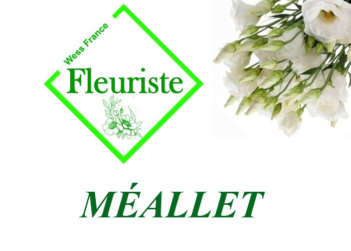 Fleuriste Méallet - livraison de fleurs Méallet