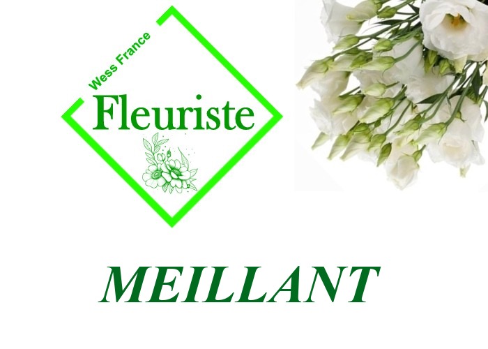 Fleuriste Meillant Fleuriste Meillant - livraison de fleurs Meillant