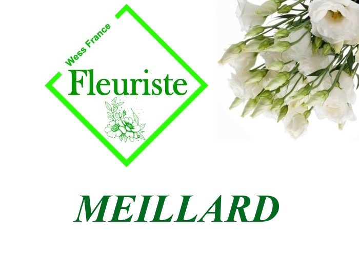 Fleuriste Meillard Fleuriste Meillard - livraison de fleurs Meillard