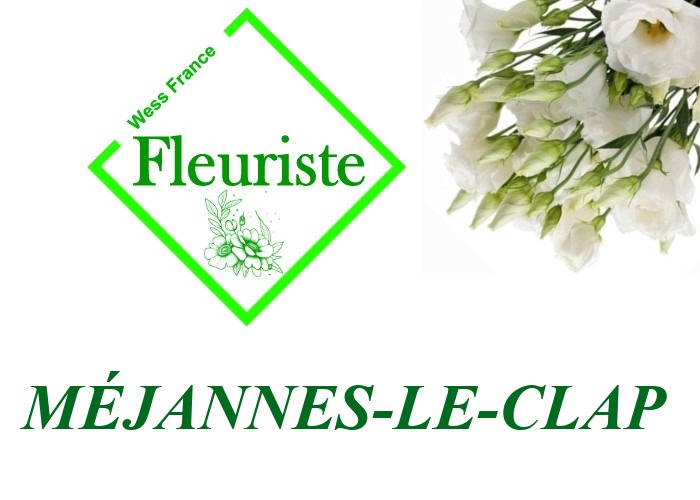 Fleuriste Méjannes-le-Clap Fleuriste Méjannes-le-Clap - livraison de fleurs Méjannes-le-Clap