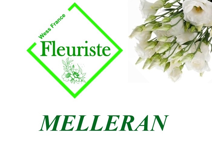 Fleuriste Melleran Fleuriste Melleran - livraison de fleurs Melleran