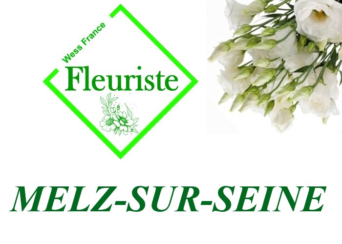Fleuriste Melz-sur-Seine Fleuriste Melz-sur-Seine - livraison de fleurs Melz-sur-Seine