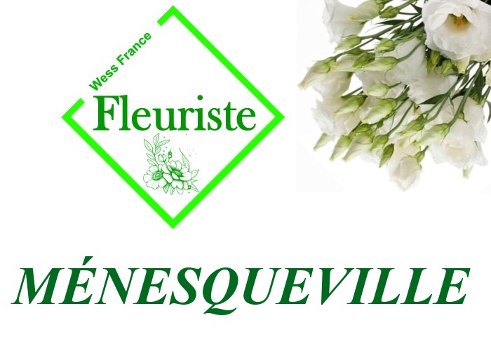 Fleuriste Ménesqueville Fleuriste Ménesqueville - livraison de fleurs Ménesqueville