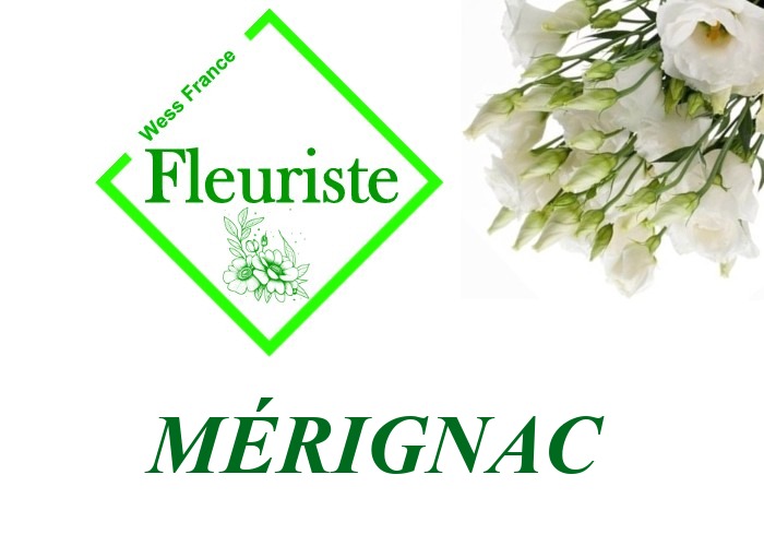 Fleuriste Mérignac Fleuriste Mérignac - livraison de fleurs Mérignac