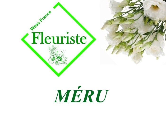 Fleuriste Méru Fleuriste Méru - livraison de fleurs Méru
