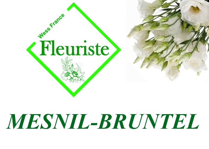 Fleuriste Mesnil-Bruntel Fleuriste Mesnil-Bruntel - livraison de fleurs Mesnil-Bruntel