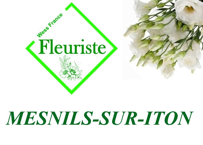 Fleuriste Mesnils-sur-Iton Fleuriste Mesnils-sur-Iton - livraison de fleurs Mesnils-sur-Iton