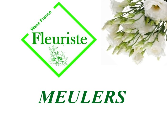 Fleuriste Meulers Fleuriste Meulers - livraison de fleurs Meulers