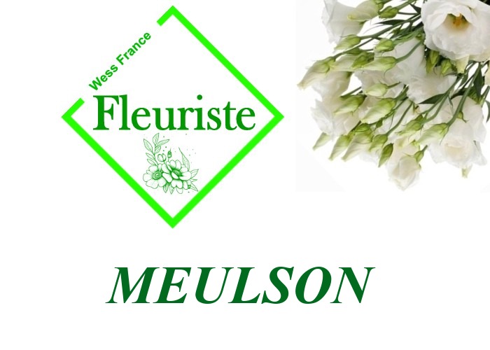 Fleuriste Meulson Fleuriste Meulson - livraison de fleurs Meulson