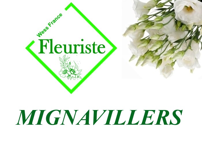 Fleuriste Mignavillers Fleuriste Mignavillers - livraison de fleurs Mignavillers
