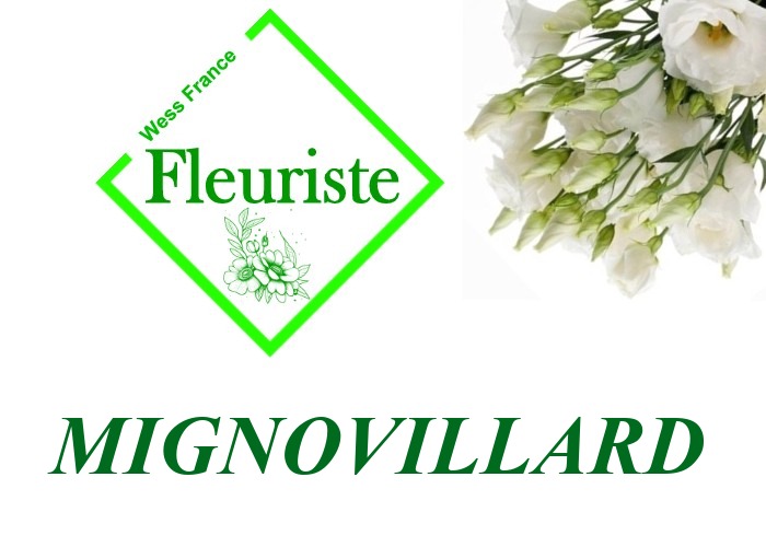 Fleuriste Mignovillard Fleuriste Mignovillard - livraison de fleurs Mignovillard