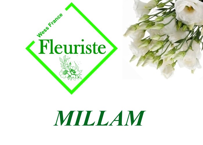 Fleuriste Millam - livraison de fleurs Millam