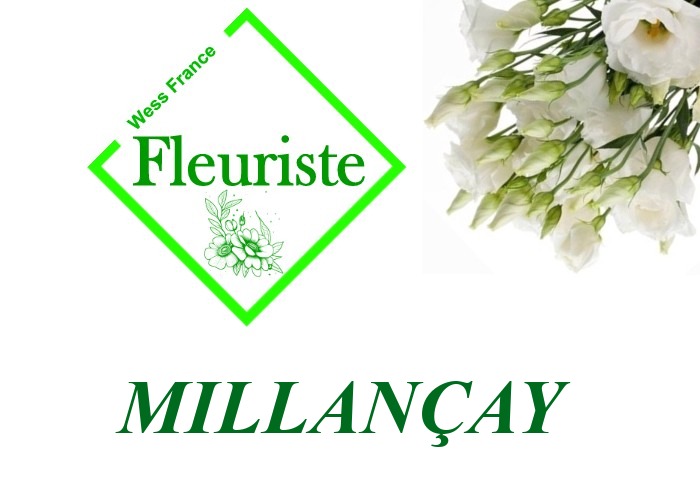 Fleuriste Millançay Fleuriste Millançay - livraison de fleurs Millançay