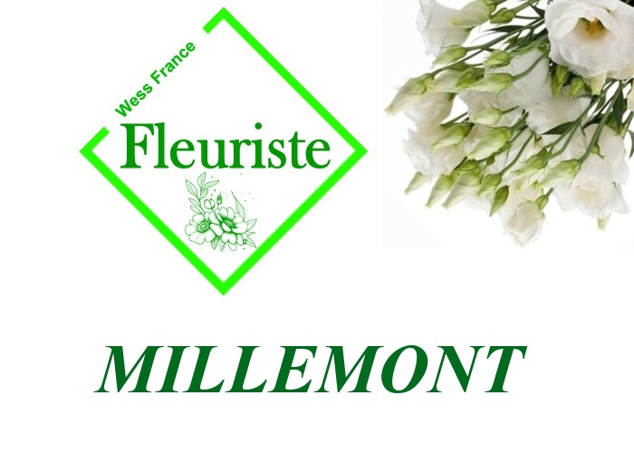 Fleuriste Millemont Fleuriste Millemont - livraison de fleurs Millemont