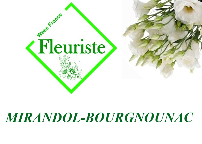 Fleuriste Mirandol-Bourgnounac Fleuriste Mirandol-Bourgnounac - livraison de fleurs Mirandol-Bourgnounac