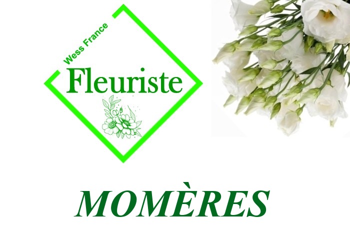 Fleuriste Momères - livraison de fleurs Momères