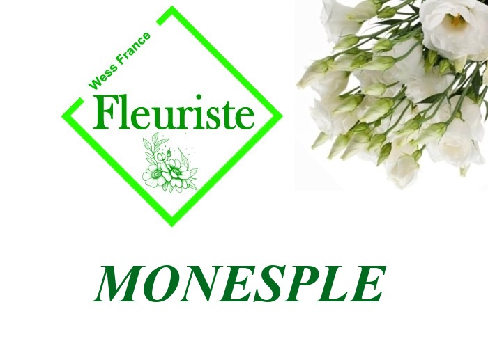 Fleuriste Monesple Fleuriste Monesple - livraison de fleurs Monesple
