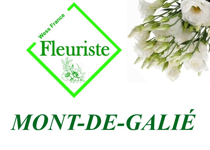 Fleuriste Mont-de-Galié Fleuriste Mont-de-Galié - livraison de fleurs Mont-de-Galié