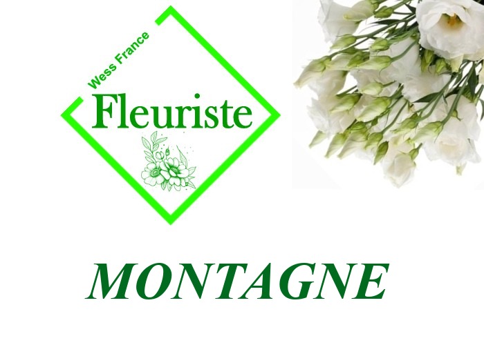 Fleuriste Montagne Fleuriste Montagne - livraison de fleurs Montagne