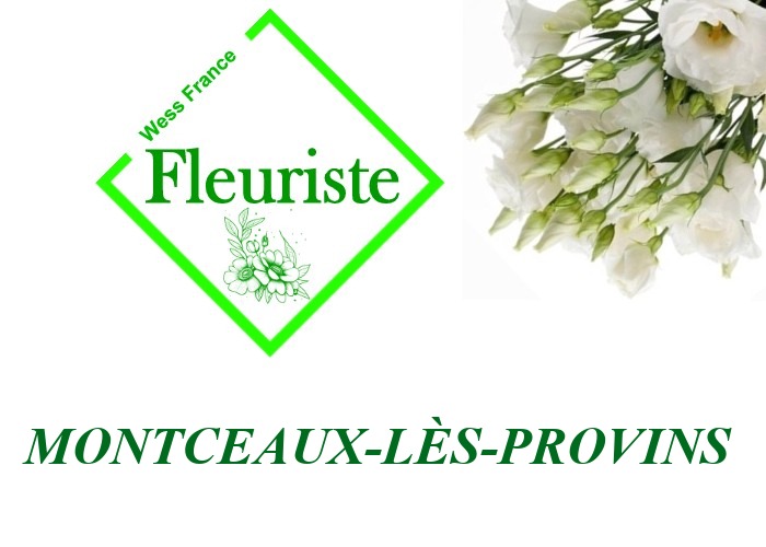 Fleuriste Montceaux-lès-Provins Fleuriste Montceaux-lès-Provins - livraison de fleurs Montceaux-lès-Provins