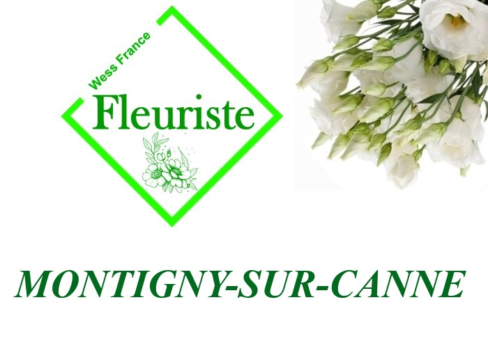 Fleuriste Montigny-sur-Canne Fleuriste Montigny-sur-Canne - livraison de fleurs Montigny-sur-Canne
