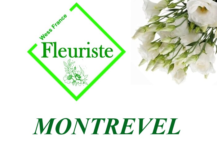 Fleuriste Montrevel - livraison de fleurs Montrevel