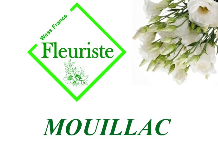 Fleuriste Mouillac Fleuriste Mouillac - livraison de fleurs Mouillac