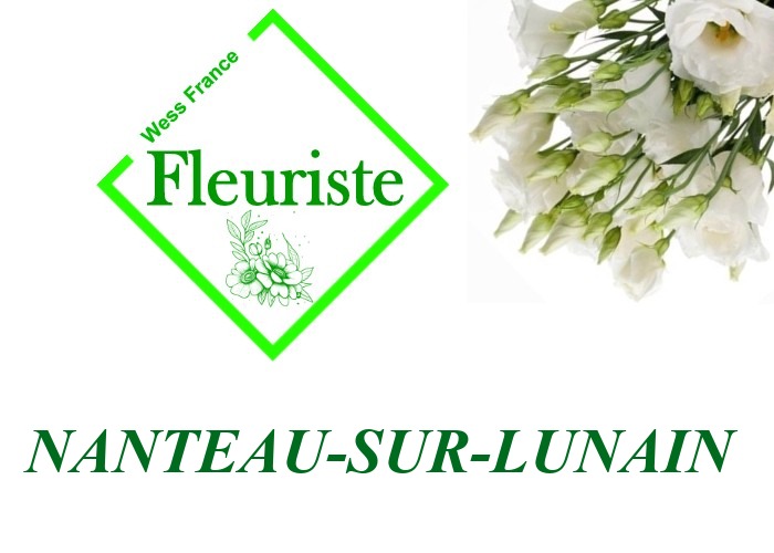 Fleuriste Nanteau-sur-Lunain Fleuriste Nanteau-sur-Lunain - livraison de fleurs Nanteau-sur-Lunain