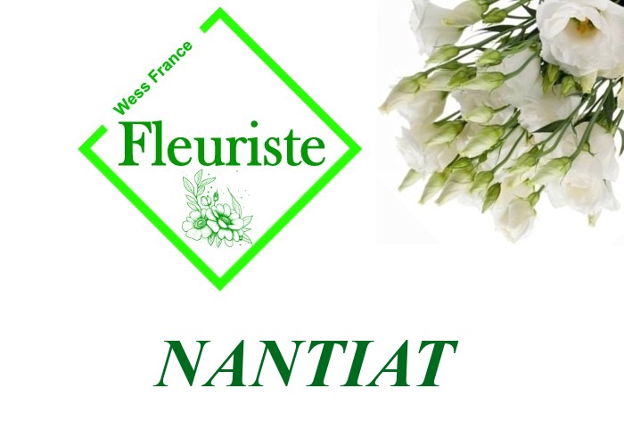 Fleuriste Nantiat Fleuriste Nantiat - livraison de fleurs Nantiat