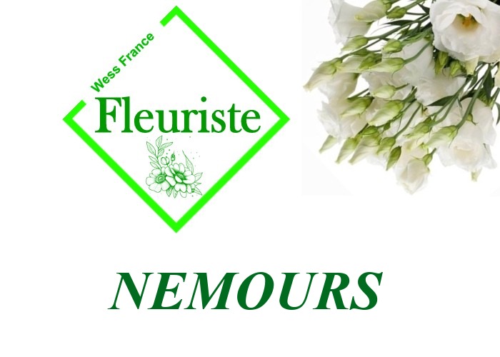 Fleuriste Nemours - livraison de fleurs Nemours