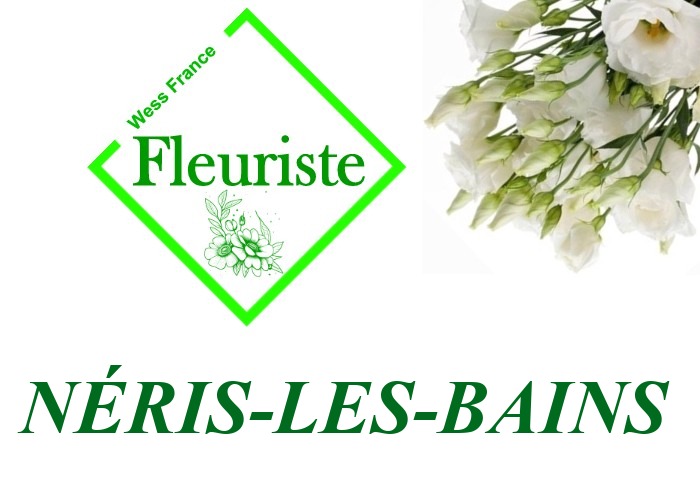 Fleuriste Néris-les-Bains - livraison de fleurs Néris-les-Bains