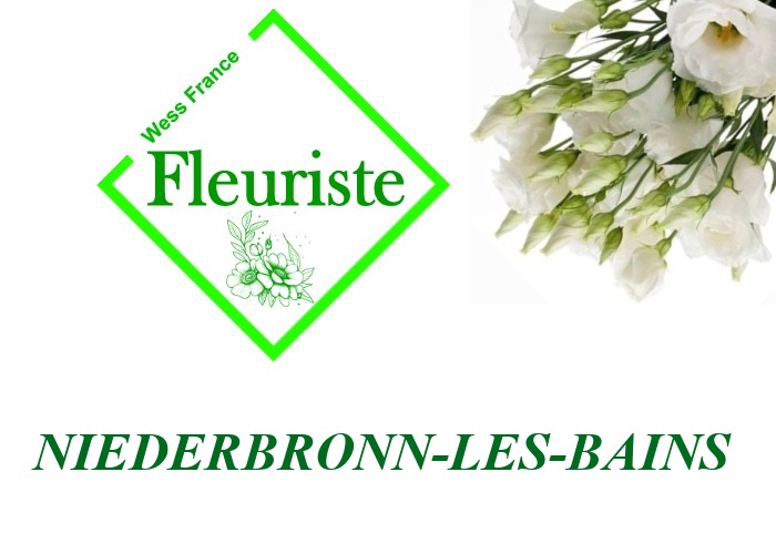 Fleuriste Niederbronn-les-Bains Fleuriste Niederbronn-les-Bains - livraison de fleurs Niederbronn-les-Bains