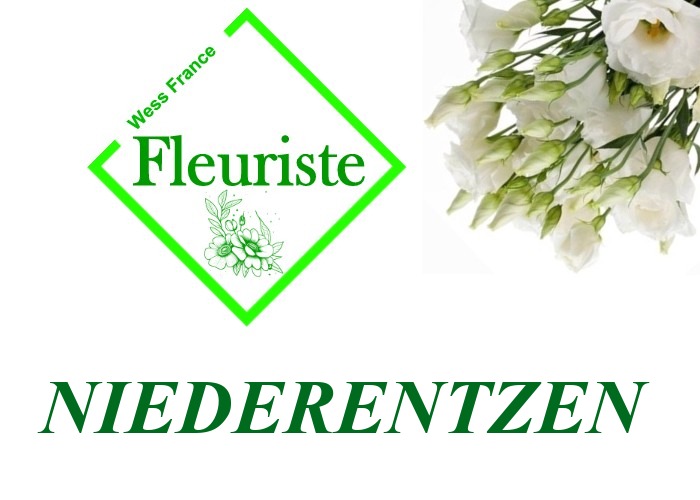 Fleuriste Niederentzen - livraison de fleurs Niederentzen