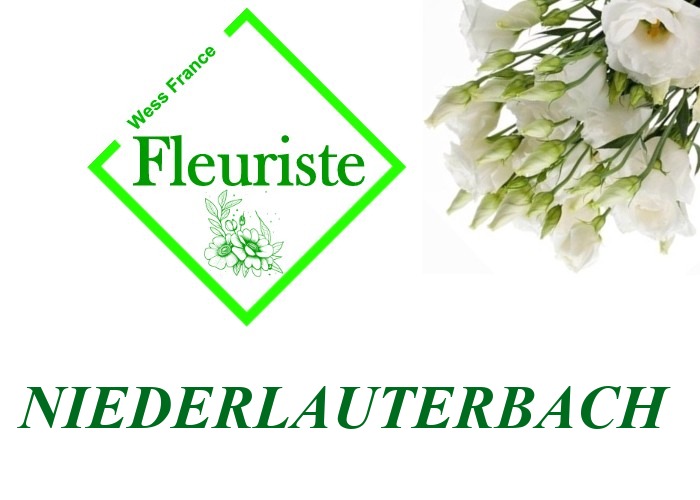 Fleuriste Niederlauterbach Fleuriste Niederlauterbach - livraison de fleurs Niederlauterbach