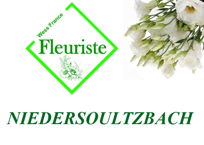Fleuriste Niedersoultzbach Fleuriste Niedersoultzbach - livraison de fleurs Niedersoultzbach