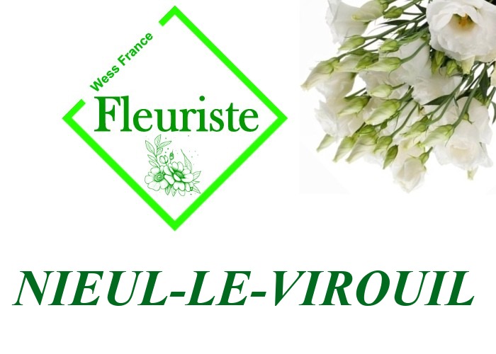 Fleuriste Nieul-le-Virouil Fleuriste Nieul-le-Virouil - livraison de fleurs Nieul-le-Virouil