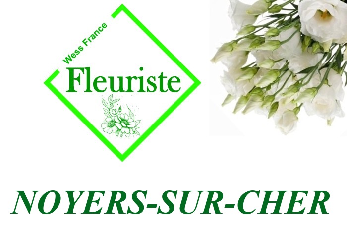 Fleuriste Noyers-sur-Cher - livraison de fleurs Noyers-sur-Cher