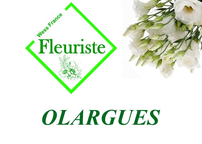 Fleuriste Olargues Fleuriste Olargues - livraison de fleurs Olargues