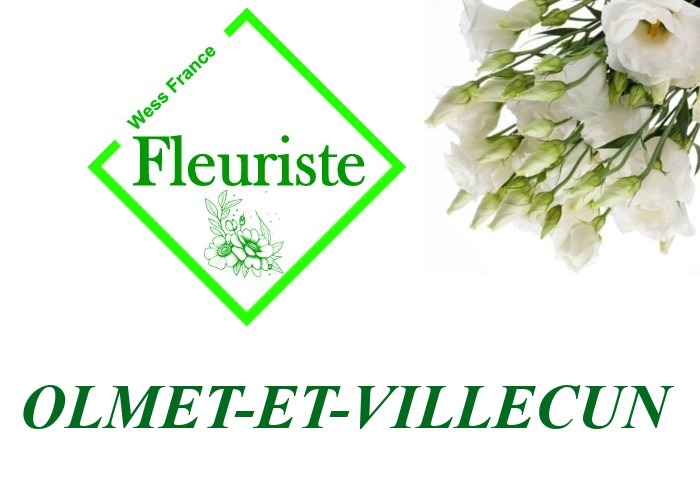 Fleuriste Olmet-et-Villecun Fleuriste Olmet-et-Villecun - livraison de fleurs Olmet-et-Villecun
