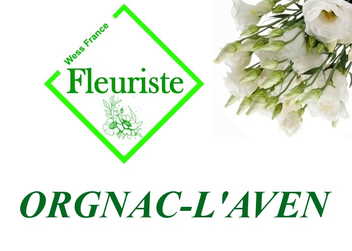 Fleuriste Orgnac-l'Aven - livraison de fleurs Orgnac-l'Aven