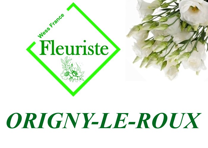 Fleuriste Origny-le-Roux Fleuriste Origny-le-Roux - livraison de fleurs Origny-le-Roux