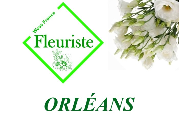Fleuriste Orléans Fleuriste Orléans - livraison de fleurs Orléans