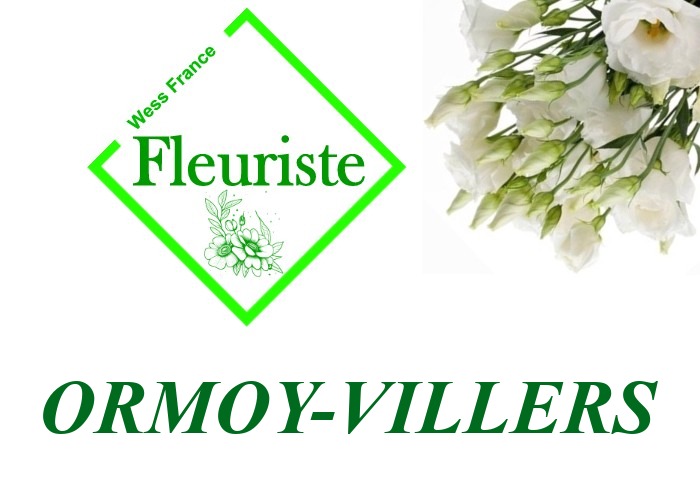 Fleuriste Ormoy-Villers Fleuriste Ormoy-Villers - livraison de fleurs Ormoy-Villers