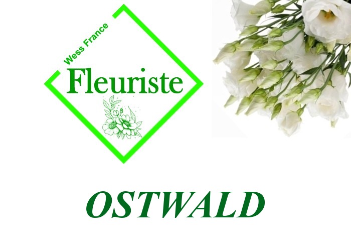 Fleuriste Ostwald - livraison de fleurs Ostwald