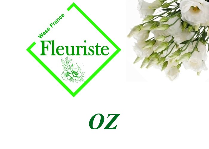 Fleuriste Oz - livraison de fleurs Oz