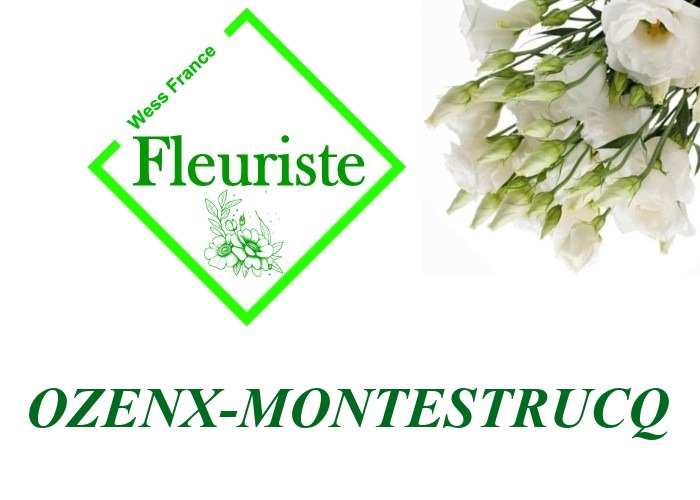 Fleuriste Ozenx-Montestrucq Fleuriste Ozenx-Montestrucq - livraison de fleurs Ozenx-Montestrucq