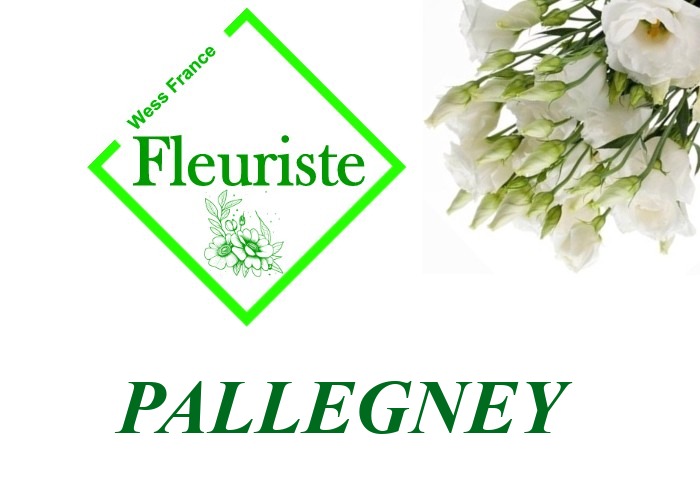 Fleuriste Pallegney - livraison de fleurs Pallegney