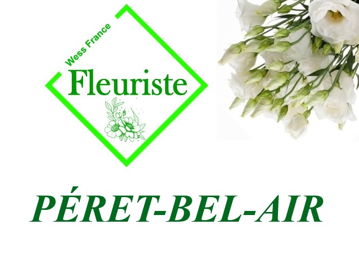 Fleuriste Péret-Bel-Air Fleuriste Péret-Bel-Air - livraison de fleurs Péret-Bel-Air